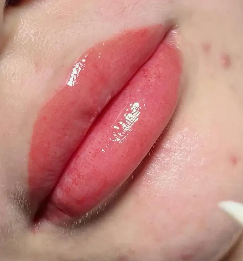 Model Sulam Bibir NO FEE