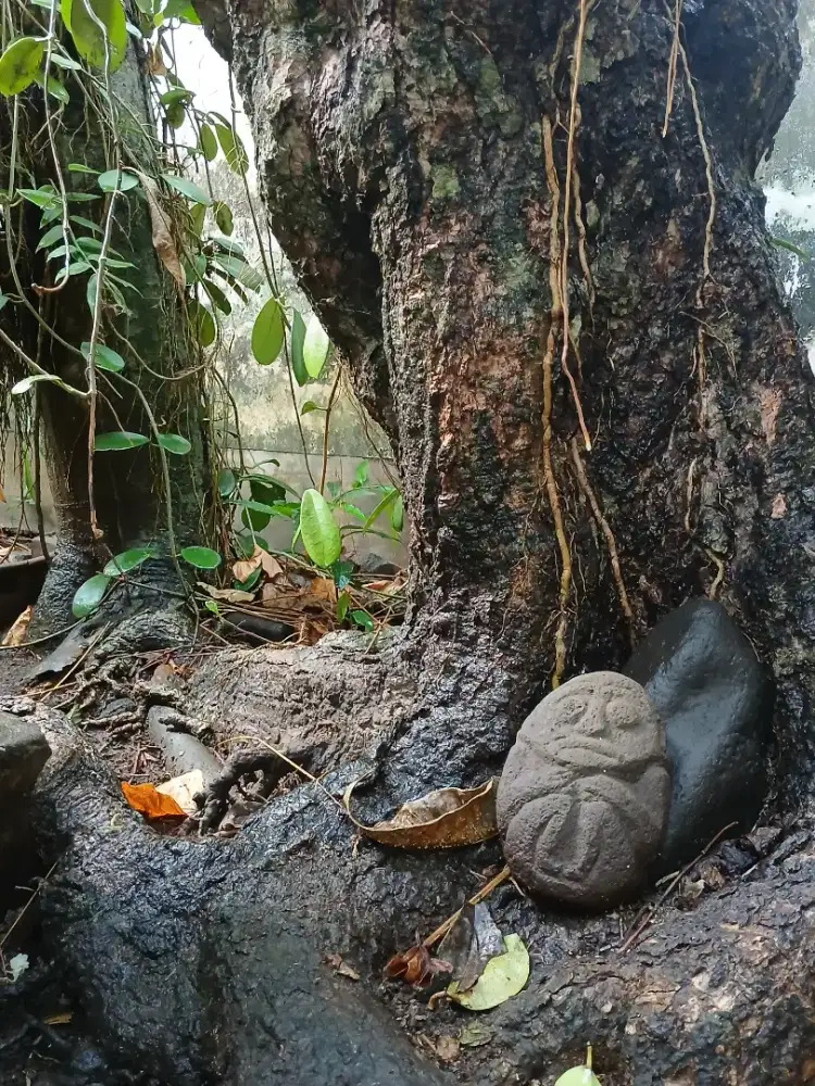 Artefak Kuno Patung Batu Wajah Alam - Koleksi Unik Langka Berenergi