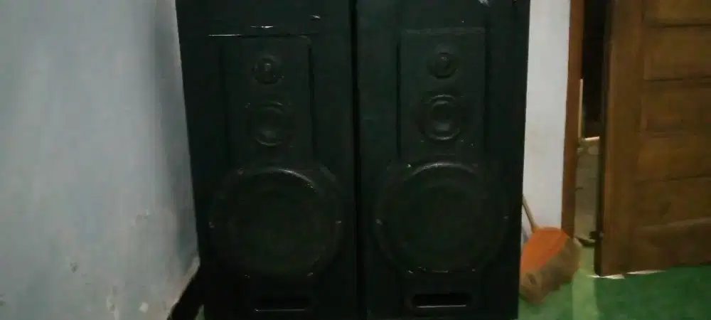 Speaker pasif 12
