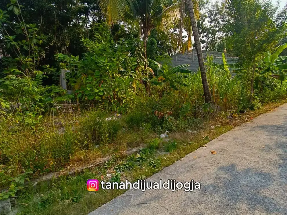 Tanah dekat Kampus Alma Atta di Bangunjiwo Kasihan Bantul Siap Bangun