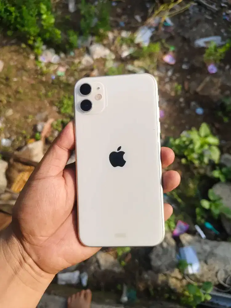 iphone 11 256 ibox