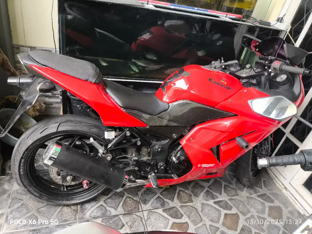 Ninbu merah 2010