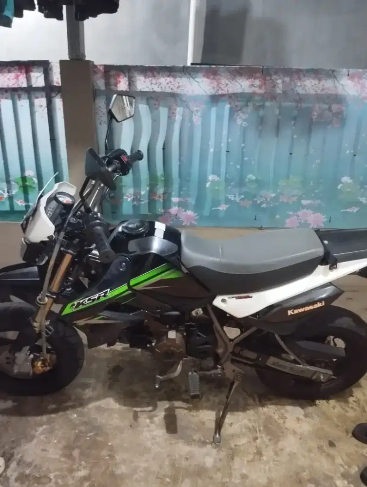 Kawasaki KSR 2015