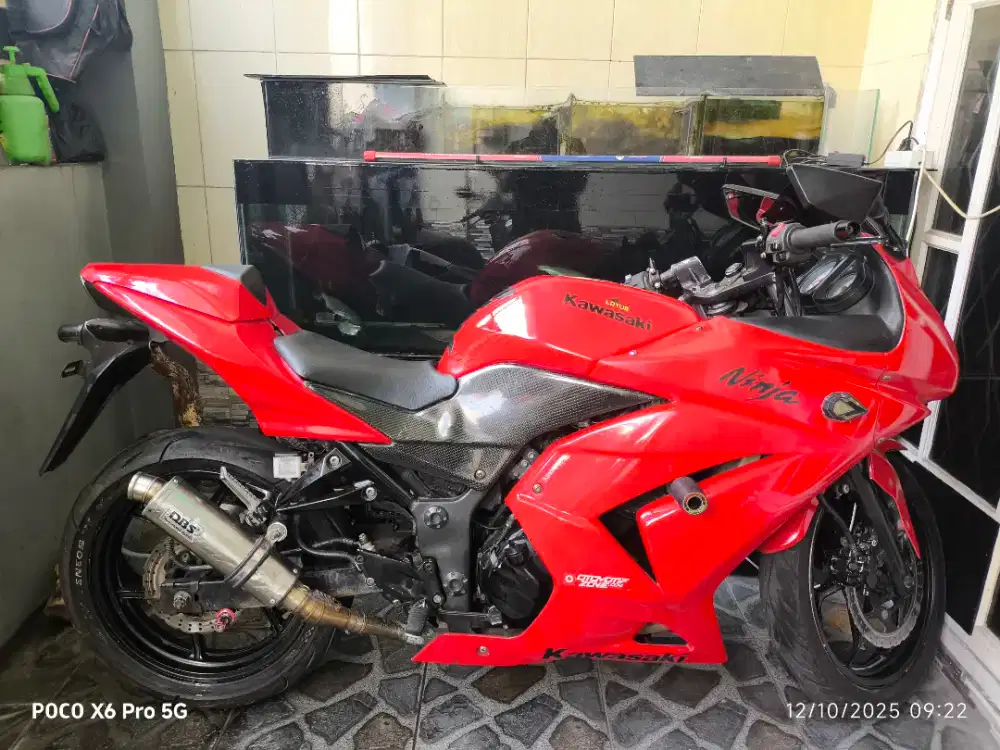 Ninbu merah 2010