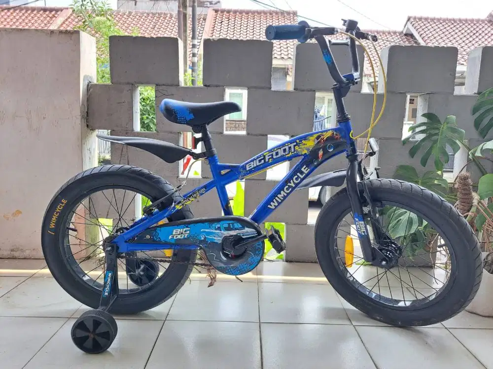 Sepeda Wimcycle Big Foot 18