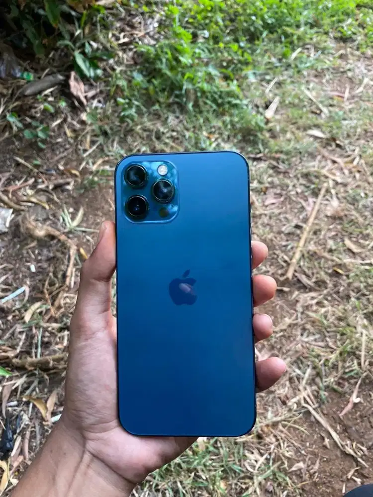 Iphone 12 promax 256