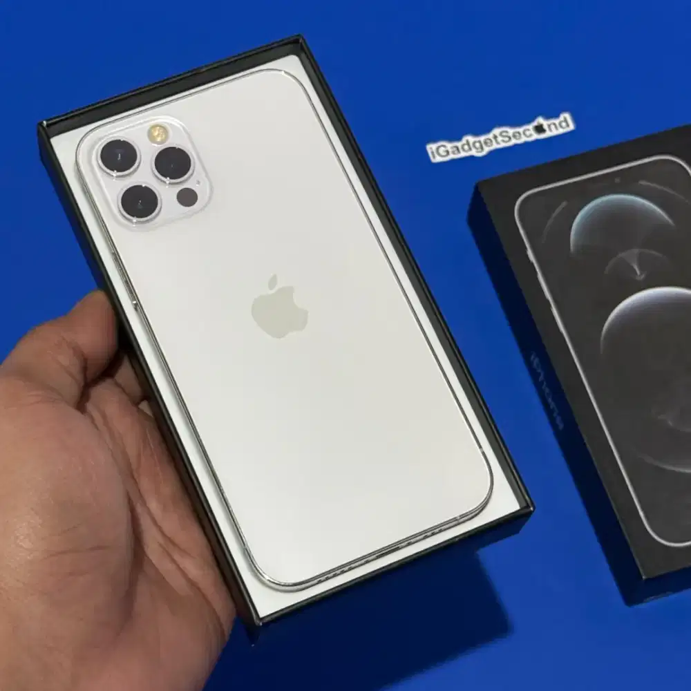 IPHONE 12 PRO 256GB BEACUKAI / IBOX
