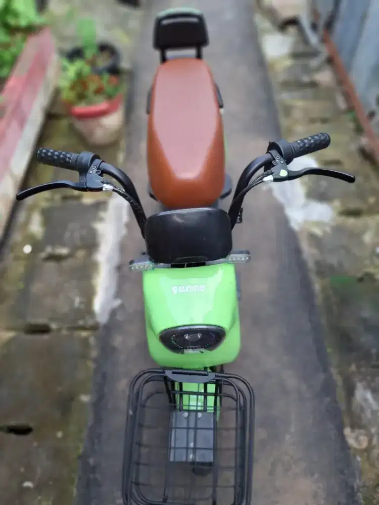 Sepeda listrik istimewa
