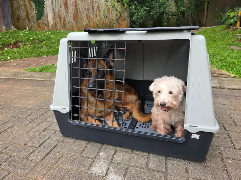 Kandang Anjing portable XL (bisa utk 2 anjing medium)