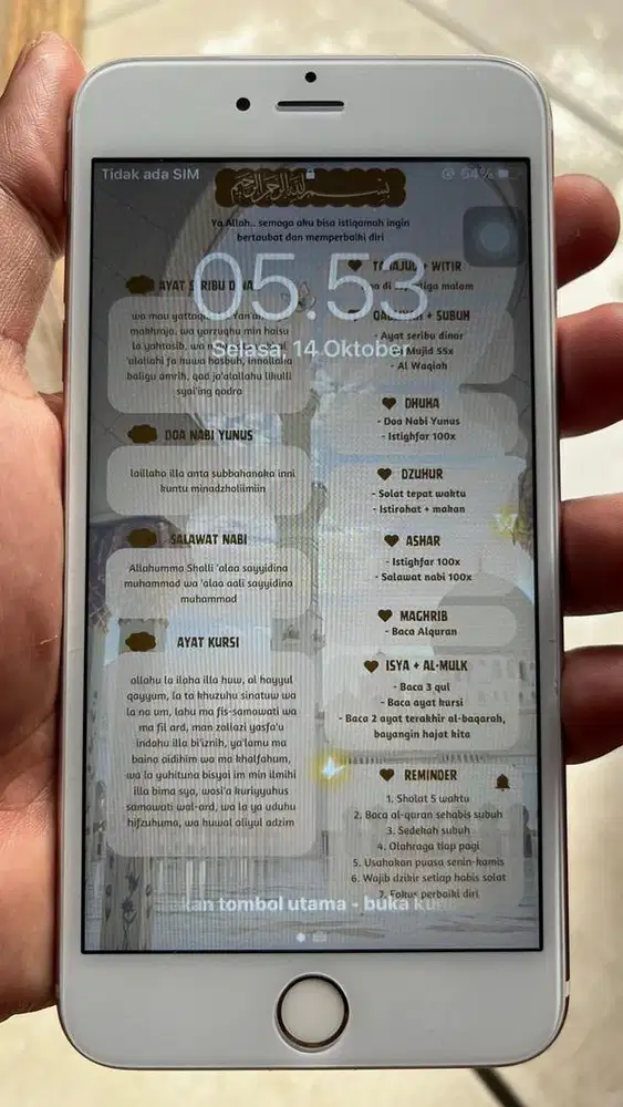 iPhone 6S plus 64GB ZP/A RoseGold