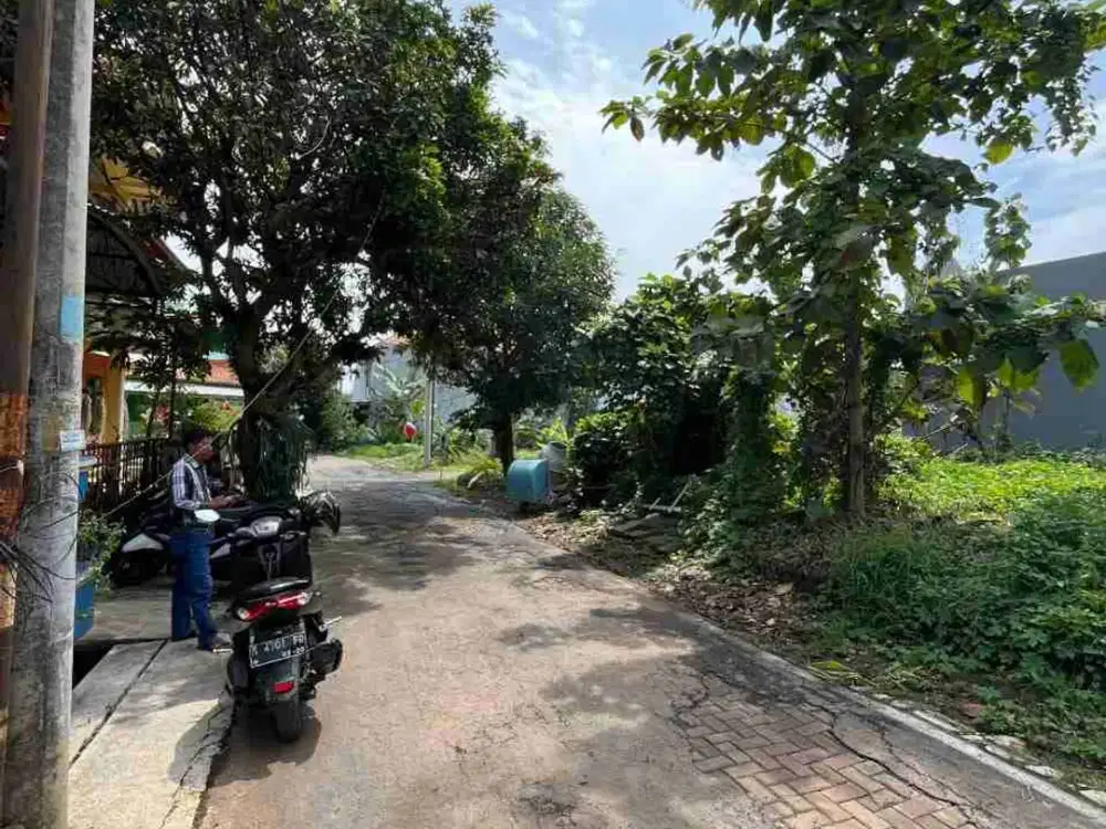 tanah strategis bulusan utara, jln turus asri tembalang