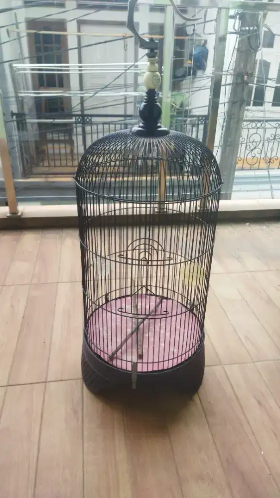 Kandang lovebird sama krodonh