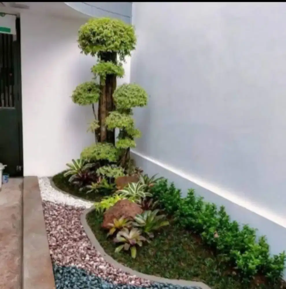 Paket taman murah& BERGARANSI