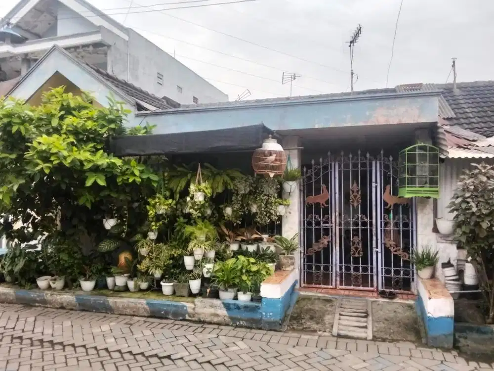 Rumah dijual sidoarjo taman