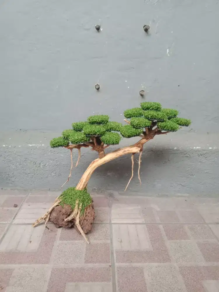 Bonsai sintetis Home Made