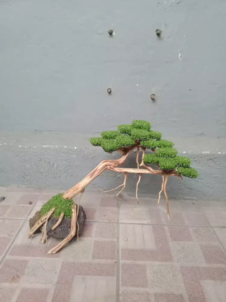Bonsai sintetis Home Made