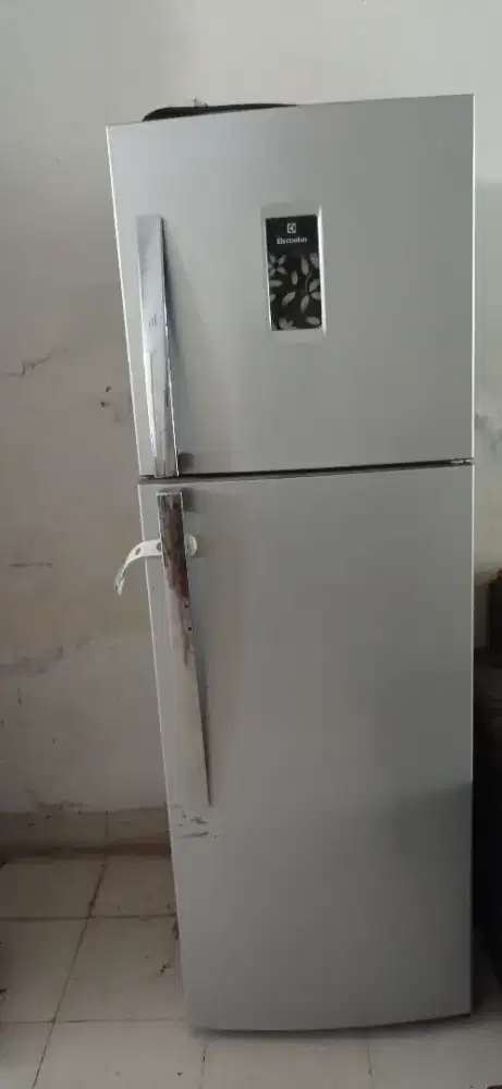 KULKAS 2 PINTU ELECTROLUX GAK DINGIN