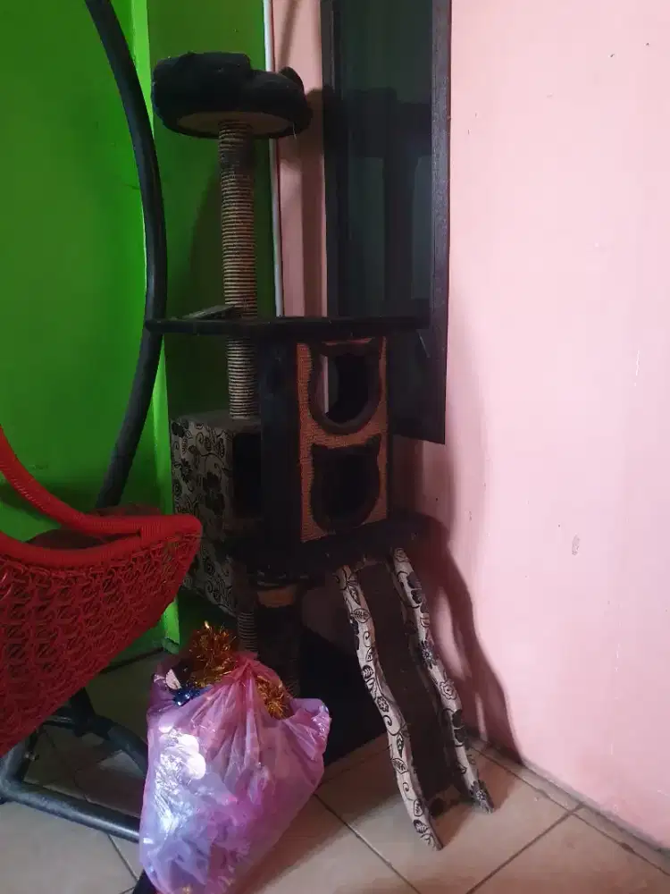 Mainan rumah kucing