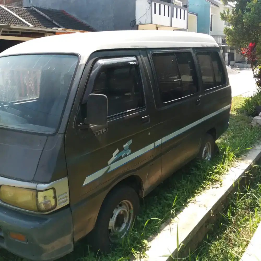Zebra tahun 1994 abu abu