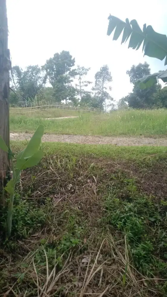 Dijual tanah pinggir jalan desa