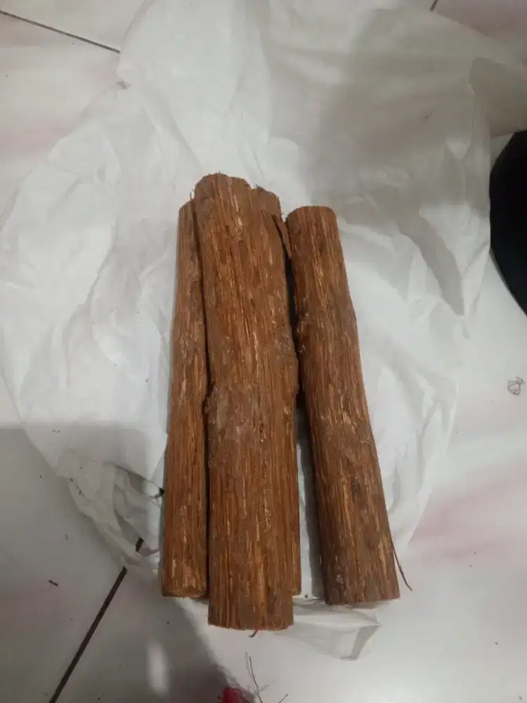Akar bajakah Kalimantan