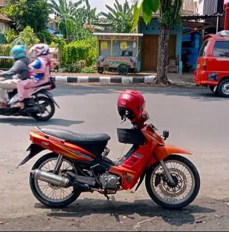 Shogun Kebo Asli Warna Merah