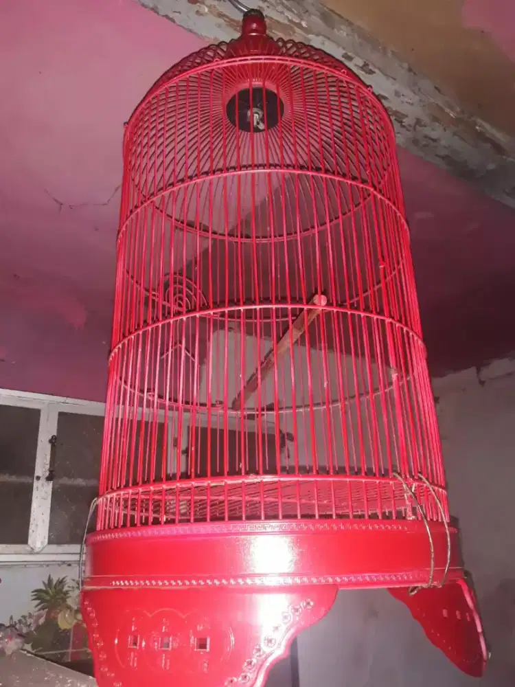 Sangkar sekend masih kinclong