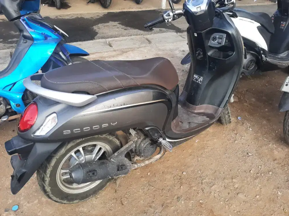 Scoopy stylist 2023