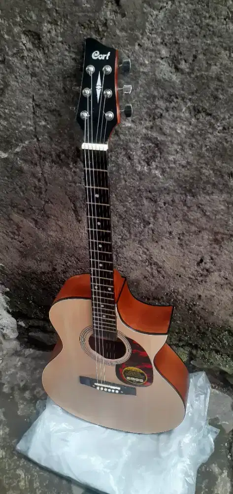 GITAR AKUSTIK CORT Natural