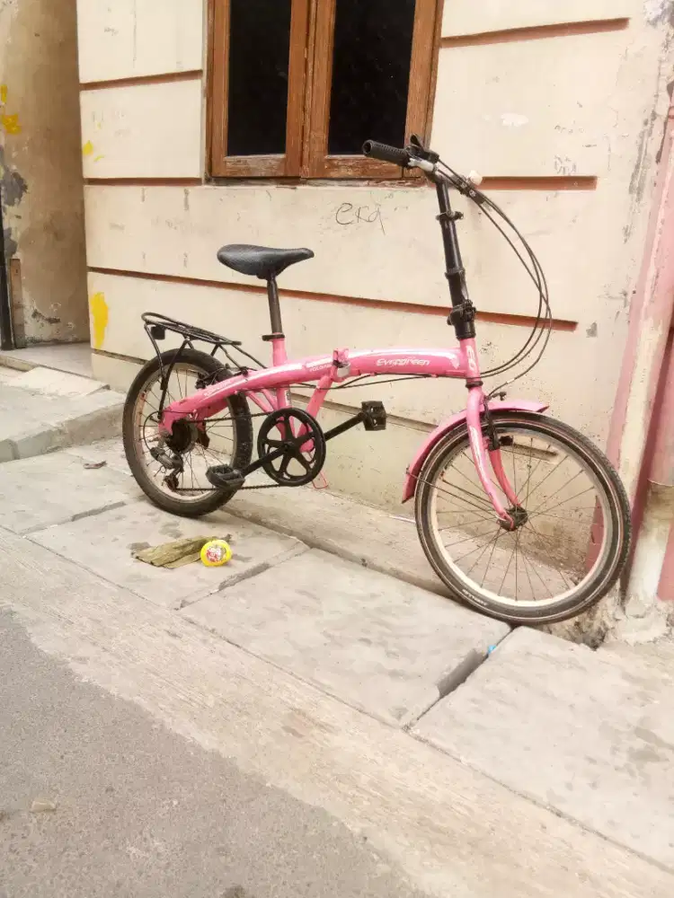 Seli dewasa evergent siap gowes