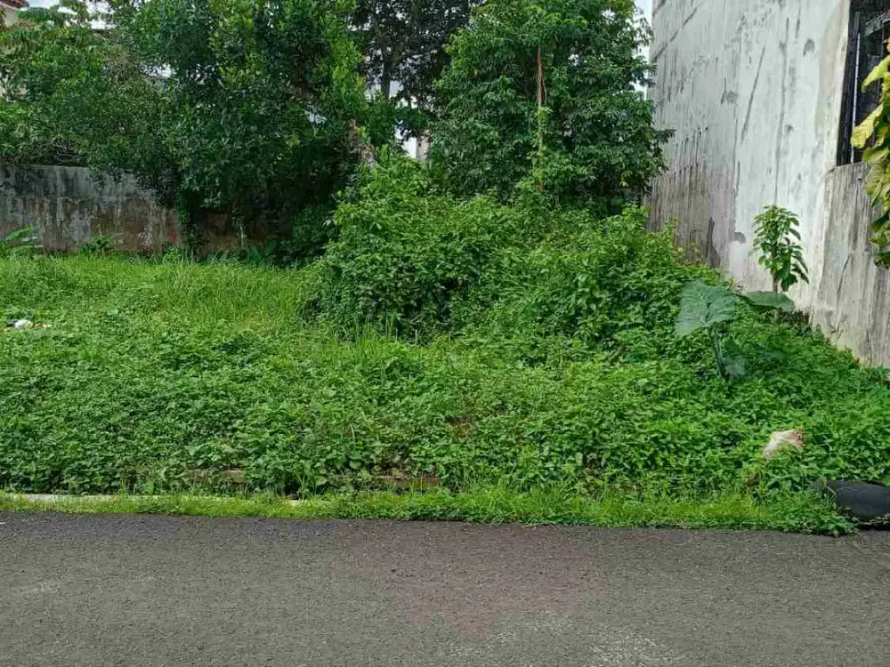 Tanah kavling Strategis Dekat Kampus AMIKOM dan Unsoed Purwokerto
