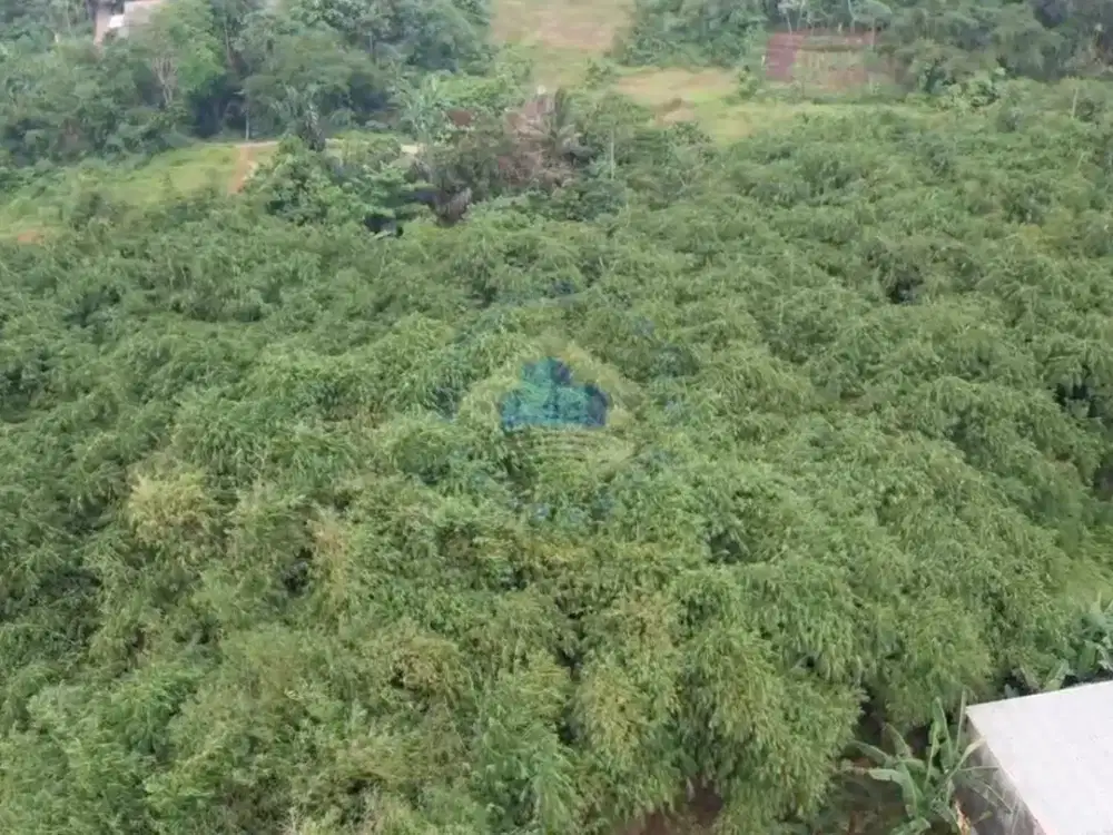 Dijual Tanah Komersial Murah di Tigaraksa – Dekat Pemda & Tol Balaraja