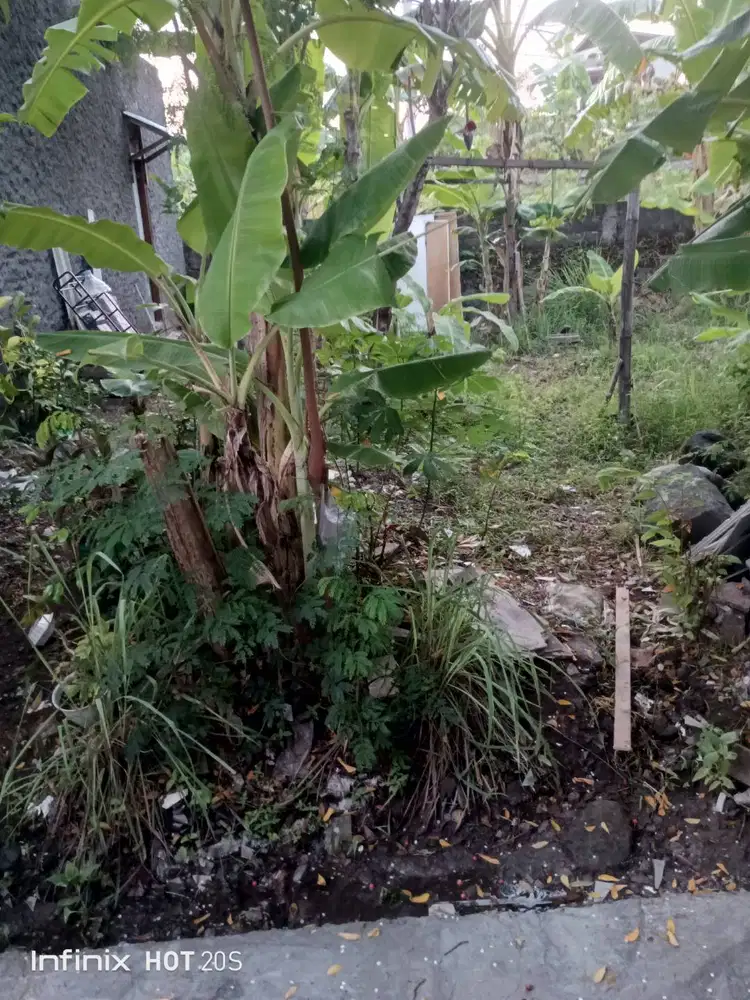 DIJUAL MURAH TANAH 95M2 MAKAMHAJI (DEKAT UMS,UNS, PASAR,RS,STASIUN)