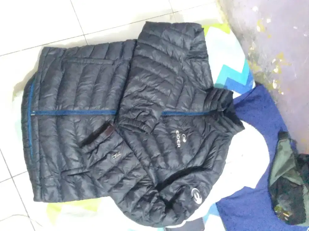 Jaket bulu angsa eider