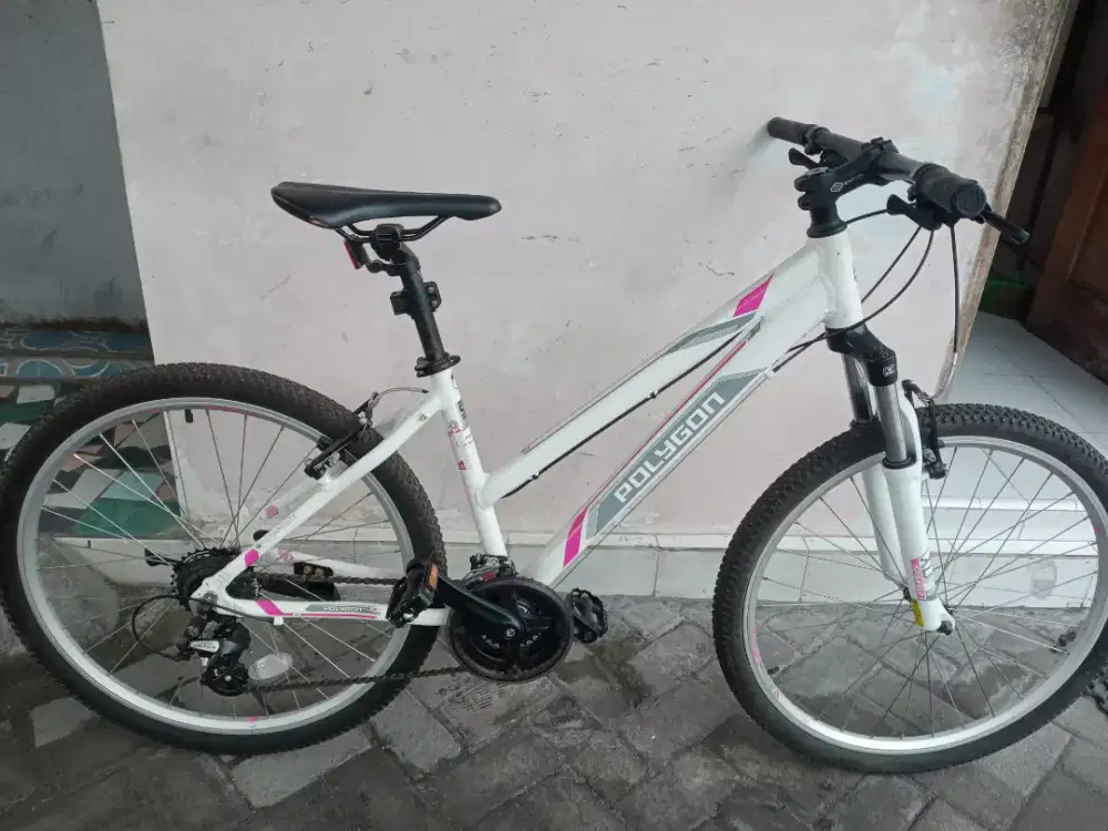 Polygon Premier 2 lady istimewa