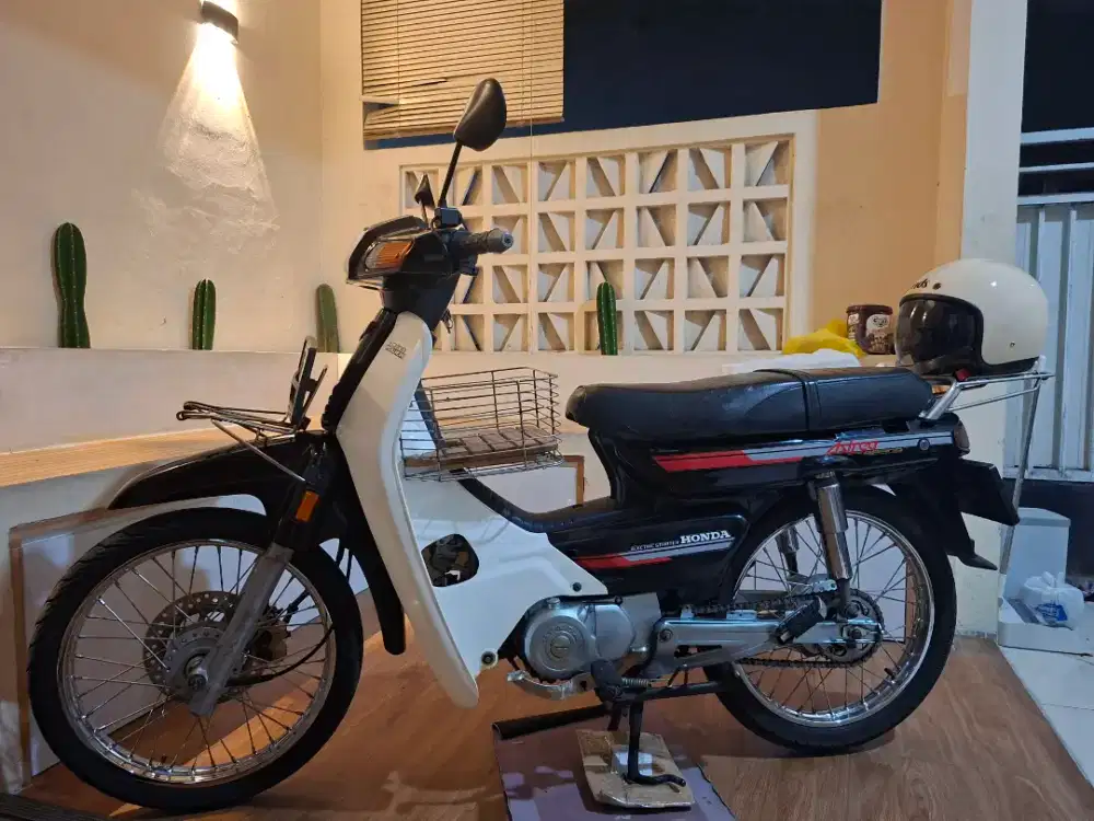 Astrea grand bulus 1991