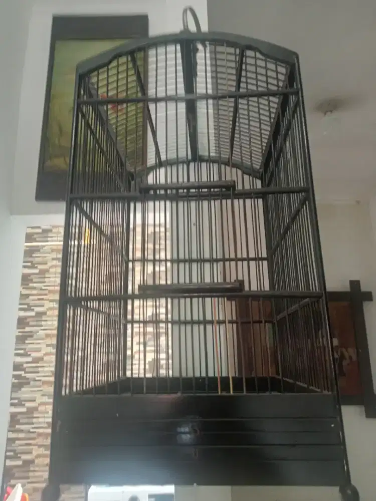 Di jual sangkar kotak