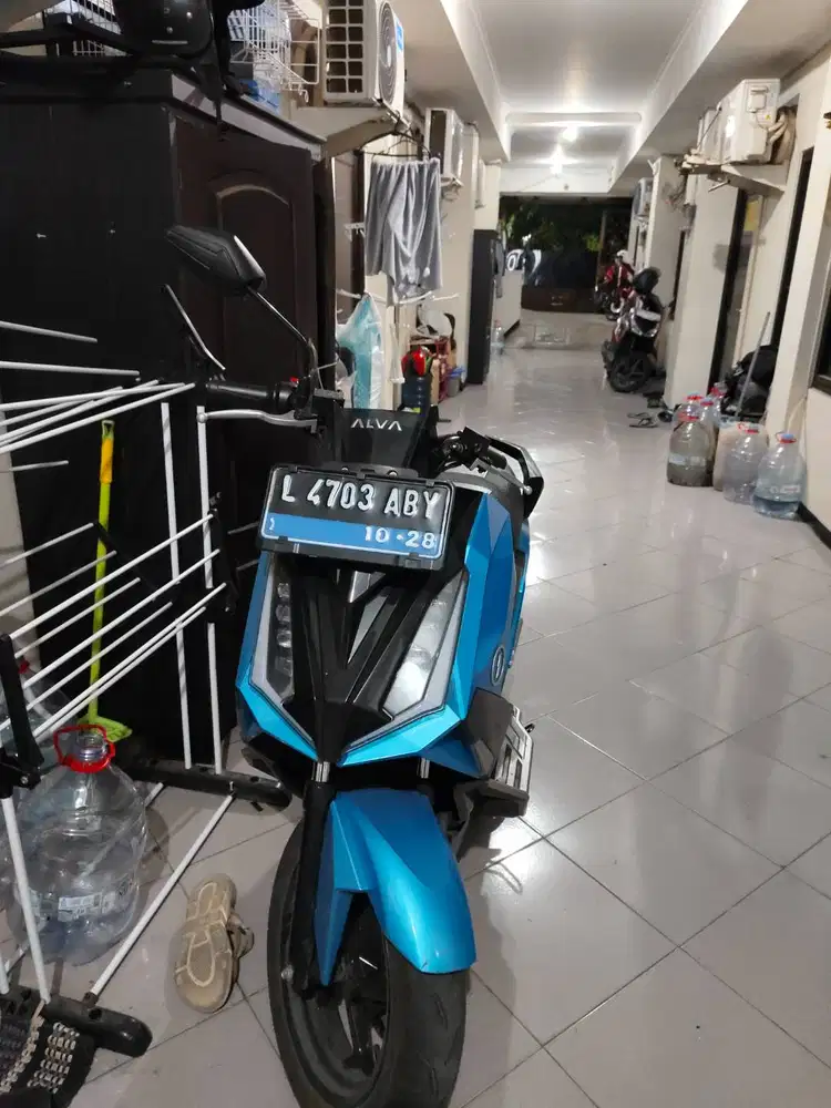 Alva Cervo 2023