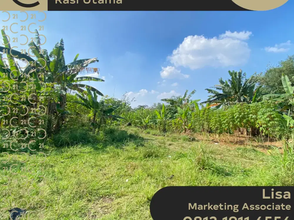 DIJUAL TANAH DI JALAN RAYA CIHIDEUNG CIJERUK BOGOR