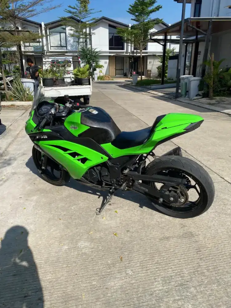Kawasaki Ninja 250 2 Cylinders