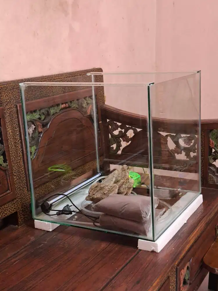 Aquarium kastem fulset baru