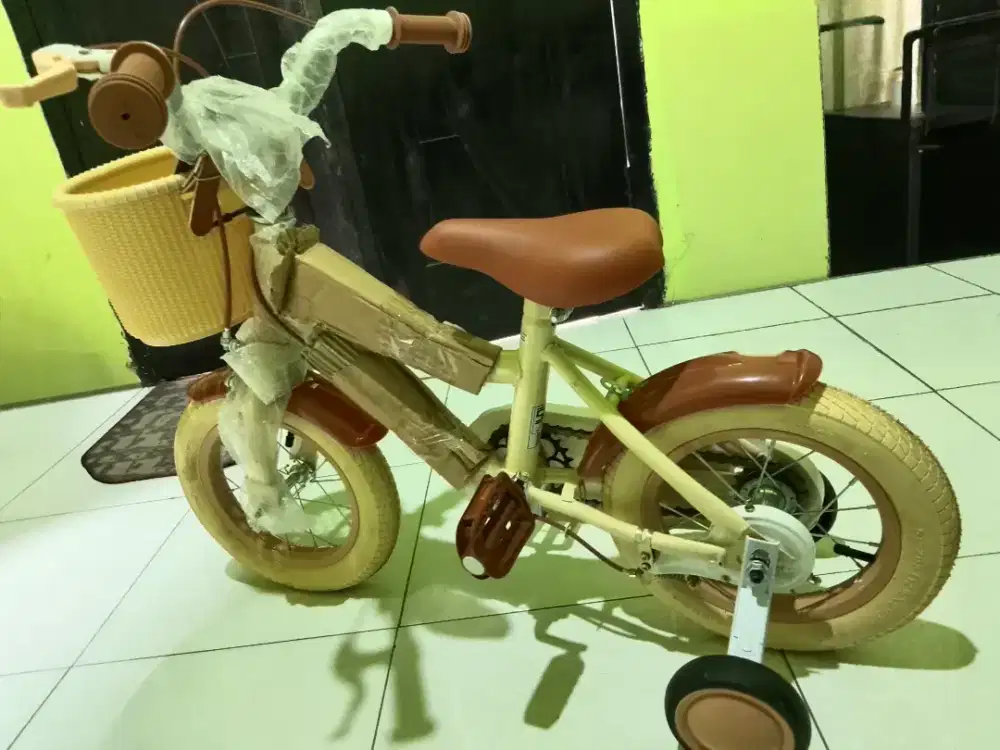 Sepeda anak estetik
