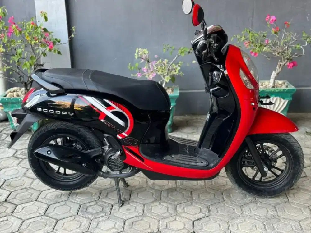Jual montor Scoppy thun 2024