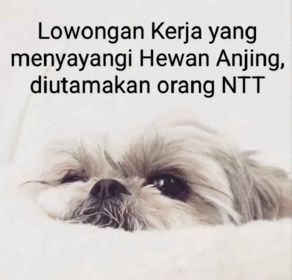 DIBUTUHKAN CEPAT TENAGA KERJA ART PRIA ATAU WANITA