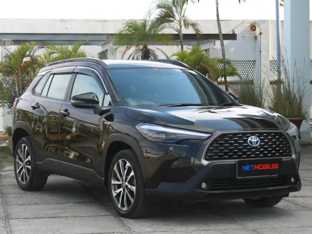 Corola crosa hybrid 2021