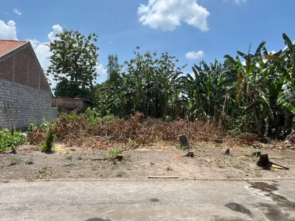 Tanah Pekarangan Bagus Murah di Banguntapan Bantul #Kode : TP 161