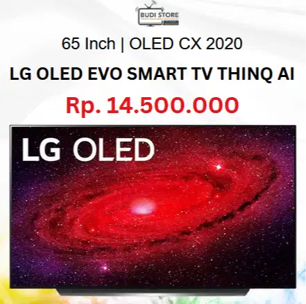 LG 65 Inch OLED CX 2020 Evo UHD 4K Thinq AI Smart TV