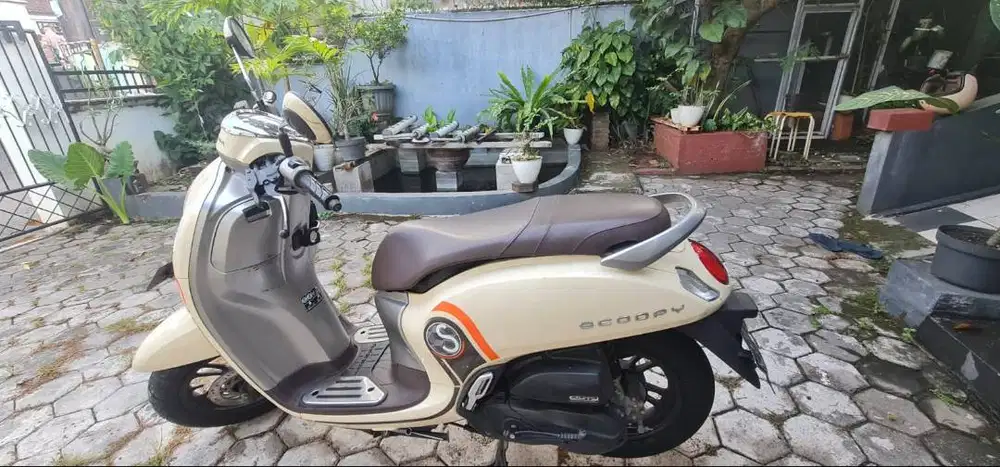 Dijual. Pemakaian perempuan dalam kota hanya untuk kerja dekat.