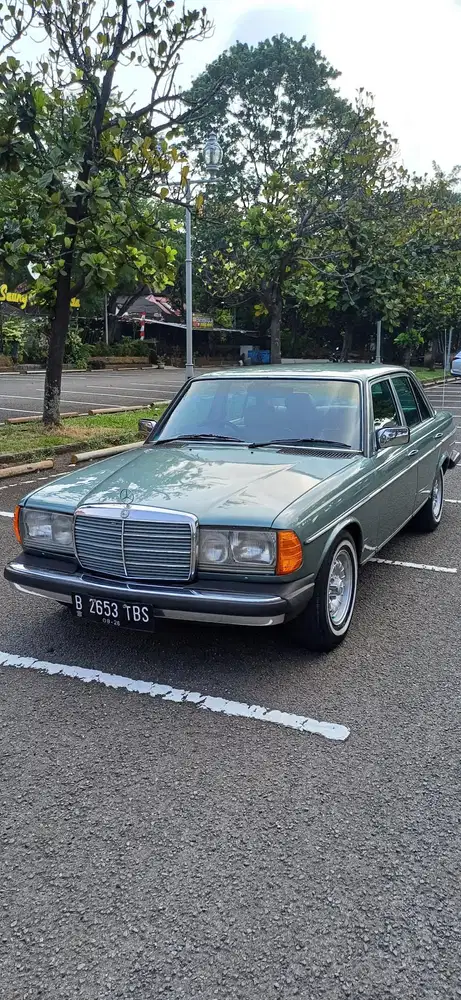 Mercedes-Benz Tiger 1979 Bensin