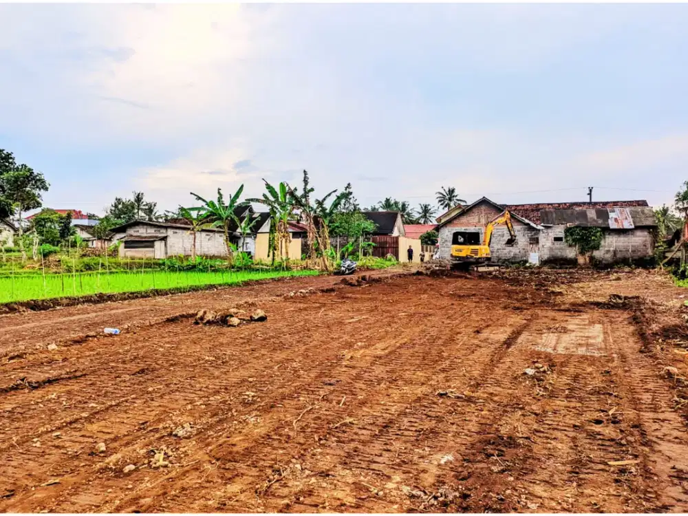 Punya Rumah Tepi Sawah Nyaman, Jual Tanah Palagan di Pandowoharjo
